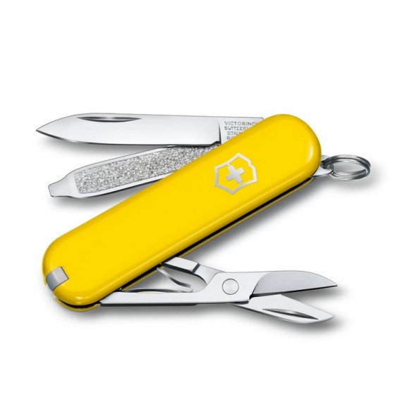 NOŽ VICTORINOX 8062238G CLASSIC SD rumen