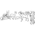 NOŽ ALBAINOX lesen ročaj, jelen 7,5cm 19875GR571