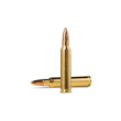 Naboj Norma 223 REM 55gr R&T