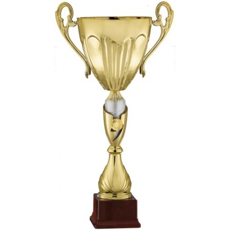 Pokal Sartor 4310
