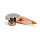 Naboj Norma308 WIN  TIPSTRIKE SILENCER  11g/170gr