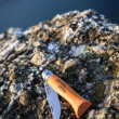 Opinel N°06  – žepni nož 7 cm