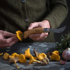 Opinel N°08 Mushroom – gobarski nož s ščetko