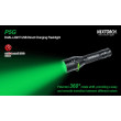 SVETILKA NEXTORCH P5G 800/200 bela/zelena DUAL LED NT-P5G