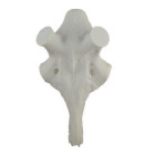 LOBANJA EUROHUNT ZA JELENA 60mm 560764