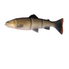 Vaba Savage Gear3D Line Thru Trout 15cm Dirty Roach 50420
