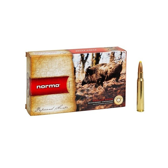 NABOJ NORMA 30-06 PPDC 13g/180gr 20176532