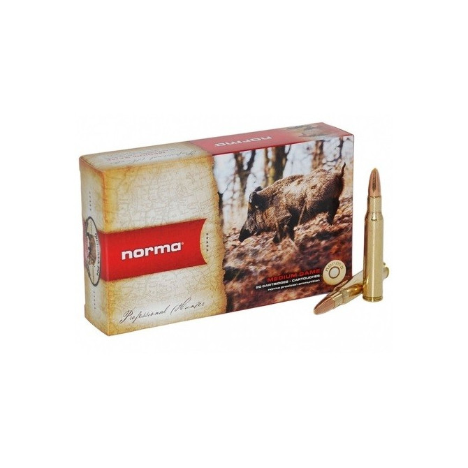 NABOJ NORMA 300 WIN MAG 11,7g 17519 (SWIFT A.FR.)