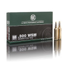 NABOJ RWS 300 WSM EVO 11,9g 2315741