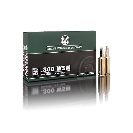 NABOJ RWS 300 WSM EVO 11,9g 2315741