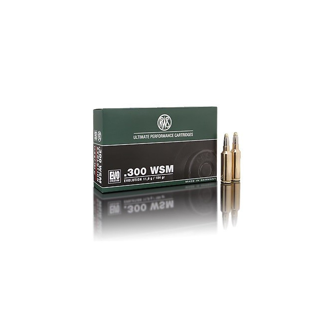 NABOJ RWS 300 WSM EVO 11,9g 2315741