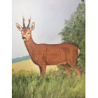 TARČA MK EU mala SRNJAK