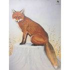 TARČA MK EU mala LISICA