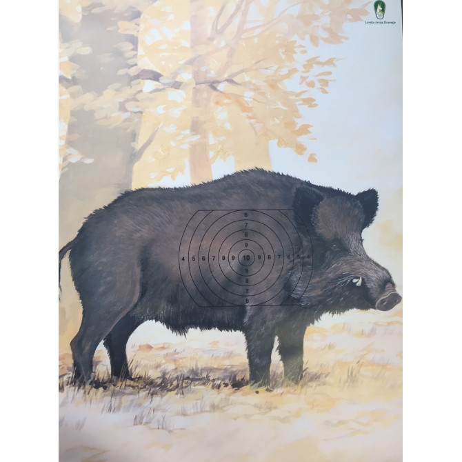 TARČA MK EU mala DIVJI PRAŠIČ