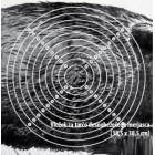 VLOŽEK ZA TARČO DIVJI PRAŠIČ levi 00088