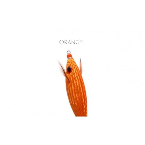 DTD Full Color Glavoč 3.0