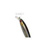 DTD Gavun Calamari 100