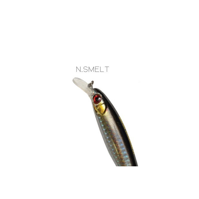 DTD Gavun Calamari 100