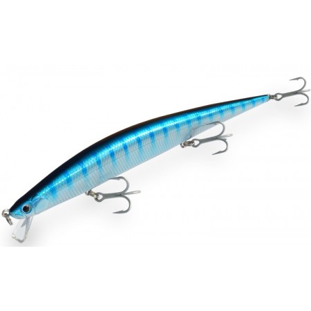 DTD Barracuda 175