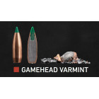 Naboj Sako 243 WIN Gamehead Varmint 4,5g/70gr