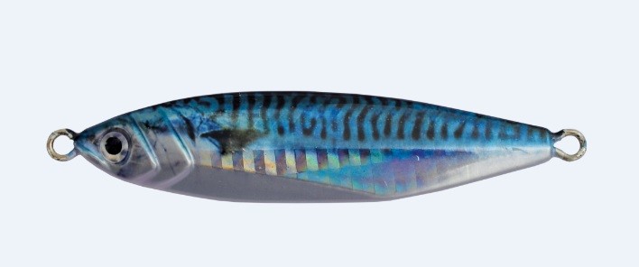 Little tuna jig - mackerel