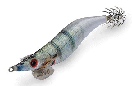 Weak fish oita-sargo