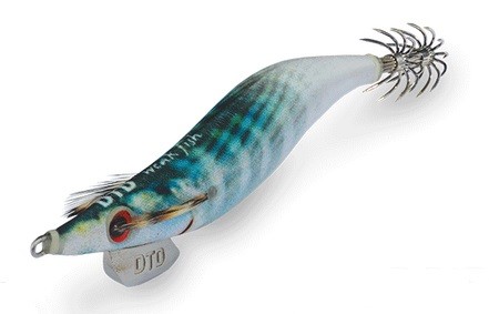 Weak fish oita-bonito