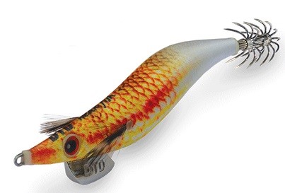 Weak fish oita-triglia
