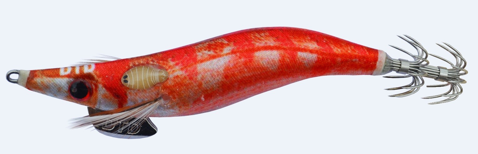 Real fish oita-pagro
