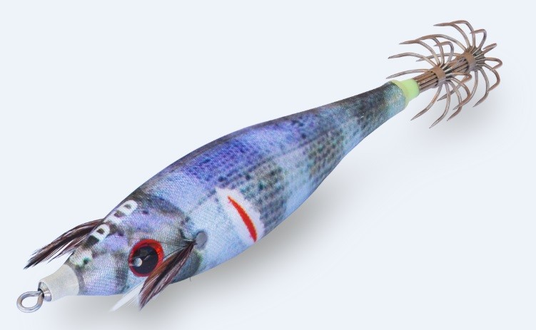 Wounded fish-dentex