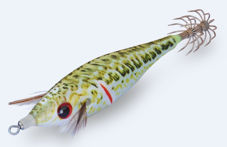 Wounded fish-natural weever