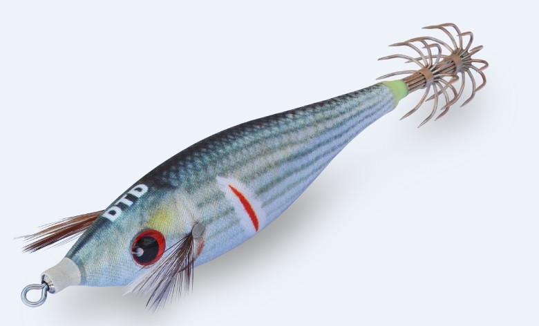 Wounded fish-mullet