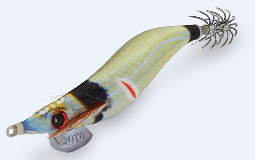 Wounded fish oita-sarago fasciato