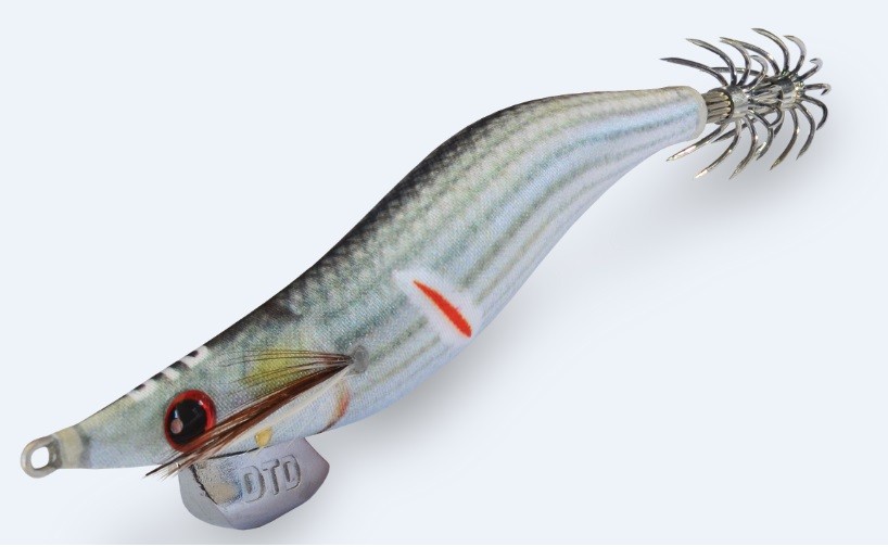 Wounded fish oita-mullet
